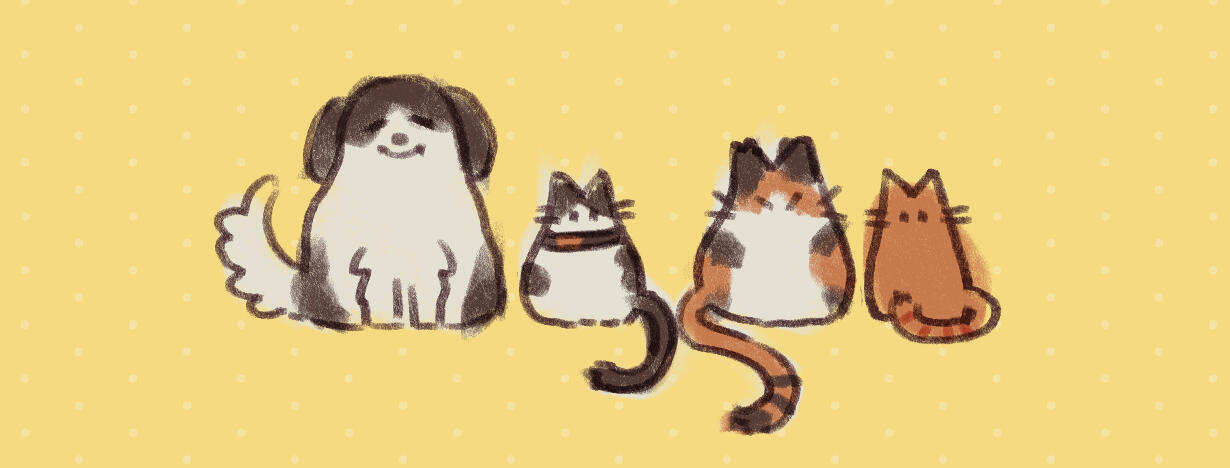 Original Characters